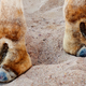 Image for article titled This One’s Just For The Foot Fetishists